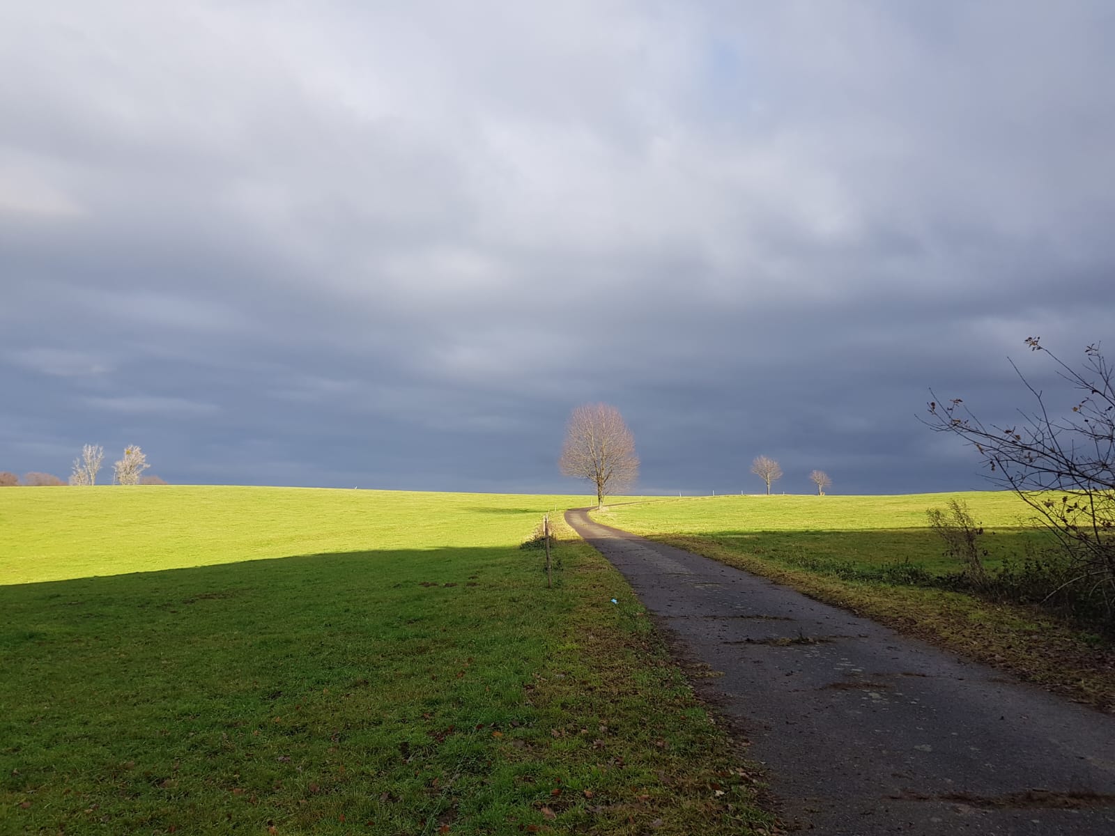 Niedergeschlagenheit